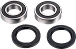 Factory Links Rear Axle Bearing Kit Fits For Cf Moto ARA-F-001. Fixed Price $49.94.