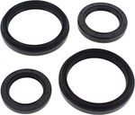 Balls Differential Seal Only Kit 22-521085. Fixed Price $41.21.