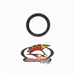 Balls Double Lip Seal 30-7004. Fixed Price $12.32.