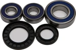 New Balls Rear Wheel Bearing KIT-25-1393-POLARIS/RANGER/SUZUKI/V-STROM. Fixed Price $48.02.