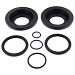 Balls 25-2138-5 Differential Seal Only Kit. Fixed Price $23.69.