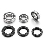 Balls Racing Rear Wheel Bearing And Seal Kit Fit Suzuki Gsx-r Gsx-s Gsf Sv. Fixed Price $23.99.