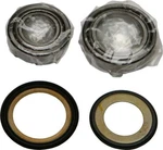 Balls Steering Bearing & Seal Kit 22-1038. Fixed Price $73.13.