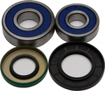 Balls Wheel Bearing And Seal Kit Rear 25-1357. Fixed Price $37.16.
