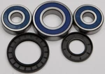 Balls Wheel Bearing And Seal Kit Rear 25-1282. Fixed Price $49.19.