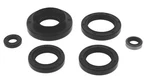 Quadboss 564199 Qbs Seal Kits. Fixed Price $27.97.