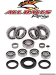 Balls Rear Differential Bearings Hawkeye 300 2006-2011 Polaris 25-2090 Apu. Fixed Price $179.27.