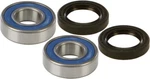 Balls Wheel Bearing And Seal Kits Front 25-1510QB. Fixed Price $24.02.