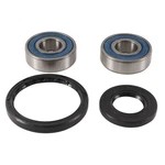Balls Wheel Bearing & Seal Kit 25-1743. Fixed Price $33.14.