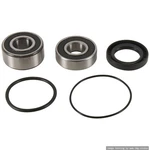 Pivot Works Rear Wheel Bearings 2000-2007 Honda Shadow Sabre 1100 PWRWS-H19-000. Fixed Price $76.07.