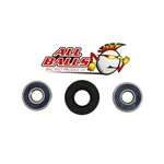 Balls Wheel Bearing And Seal Kit Rear 25-1173. Fixed Price $14.35.