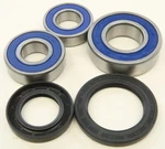 Balls 25-1703 Wheel Bearing And Seal Kit. Fixed Price $52.07.