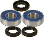 Balls 1973-1975 KZ900 Kawasaki Front Wheel Bearing/seal Kit 25-1219. Fixed Price $31.71.