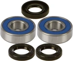 Balls 25-1219 Front Wheel Bearing & Seal Kit. Fixed Price $23.81.