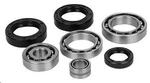 Balls Differential Seal Only Kit 22-521085 136815 ABR25-2108-5. Fixed Price $50.08.