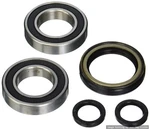 Pivot Works Rear Wheel Bearings 1987 Honda Fourtrax 250 Lifetime Warranty. Fixed Price $95.79.