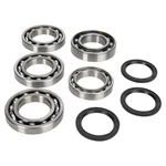 Balls Differential Bearing & Seal Kit For 2014-2018 Yamaha YXM700 Viking. Fixed Price $96.29.