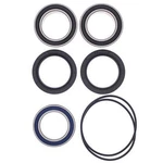 Balls Carrier Bearing Snd Seal Kit 130957 ABR25-1620. Fixed Price $95.35.