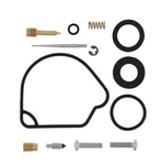 Balls 26-1273 Carburetor Rebuild Kit. Fixed Price $78.49.