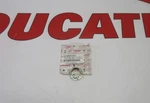 Ducati Left Sprocket Side Rear Wheel Nut 748 996 998 848 Hypermotard 75010181C. Fixed Price $25.50.