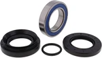 Quadboss Wheel Bearing And Seal Kit Rear #25-1580 For Honda TRX420. Fixed Price $33.58.