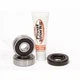 Pivot Works Wheel Bearing And Seal Kits PWRWS-Y31-000. Fixed Price $32.44.