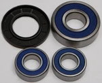 Balls 25-1096 Rear Wheel Bearing & Seal Kit. Fixed Price $39.99.
