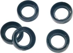 James Wheel Bearing Oil Seals Double Lip Front #JGI-47519-83-DL Harley Davidson. Fixed Price $17.50.