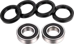 Factory Links Fits Front Wheel Bearing Kit For Cf Moto FWK-F-001 Heavy-duty. Fixed Price $28.94.