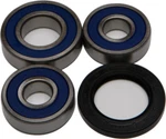 Balls Wheel Bearing And Seal Kit Rear 25-1287. Fixed Price $42.25.