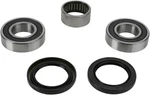 Pivot Works PWRWS-Y16-000 Wheel Bearing Kit Rear. Fixed Price $78.48.