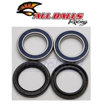 Balls Front Wheel Bearing And Seal Kit For 2017 Beta 250 Rr Race Qx. Fixed Price $36.00.