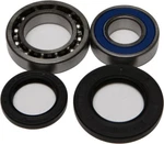 Balls Rear Wheel Bearing Kit 25-1014. Fixed Price $39.42.