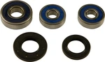 1998-2001 Honda CB600F Hornet (euro) Balls Wheel Bearing Kit Rear. Fixed Price $52.23.