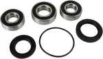 Pivot Works PWRWS-K14-000 Wheel Bearing Kit Rear. Fixed Price $54.23.