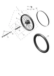 Triumph T2004252 - Genuine Oem Front Wheel Bearing Kit. Fixed Price $48.00.