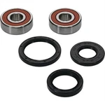 Pivot Works Complete Wheel Bearing Rebuild Kits 25-1310-P. Fixed Price $35.75.