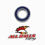 Balls Bearing 6006-2RS Double Lip Seals 6006-2RLD. Fixed Price $12.98.