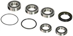 New Pivot Works Wheel Bearing Kit PWRWS-H71-000 For Honda Vt 1300 Cr 2016. Fixed Price $38.14.