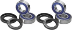 Msr Front Wheel Bearing And Spacer Kits For Kawasaki KLX110 2002-2016. Fixed Price $44.62.