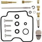 Balls 26-1263 Carburetor Rebuild Kit. Fixed Price $66.61.