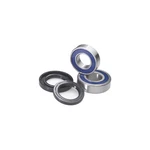 Balls Rear Carrier Bearing Upgrade Kit 25-1630. Fixed Price $89.42.