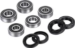 Factory-links Wheel Bearing & Seal Kit #KWK-Y-004 For Kawasaki KX80 1998-2000. Fixed Price $34.94.