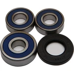 Balls Rear Wheel Bearing Kit 25-1494. Fixed Price $30.01.