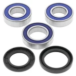 2000-2001 Kawasaki ZX12R Motorcycle Balls Wheel Bearing Kit Rear. Fixed Price $46.00.