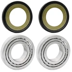 Fork Neck Post Stem Bearing Race Dust Seals Set Harley XL1200C Custom 96-06. Fixed Price $18.70.
