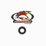 Balls Racing Double Lip Seal 18 X 30-3202. Fixed Price $14.99.