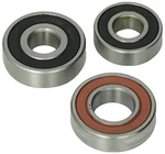 Pivot Works PWRWK-S31-000 Rear Wheel Bearing Kit. Fixed Price $41.04.