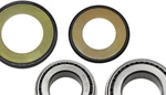 Balls 22-1004-ASTEERING Stem Tapered Roller Bearings And Seals Kit. Fixed Price $44.82.