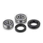 Factory Links Wheel Bearings Kit Yamaha RWK-Y-171. Fixed Price $31.04.